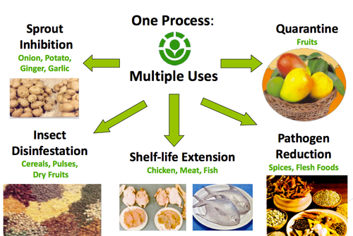 radiazioni ionizzanti e irraggiamento alimenti: schema delle possibili applicazioni